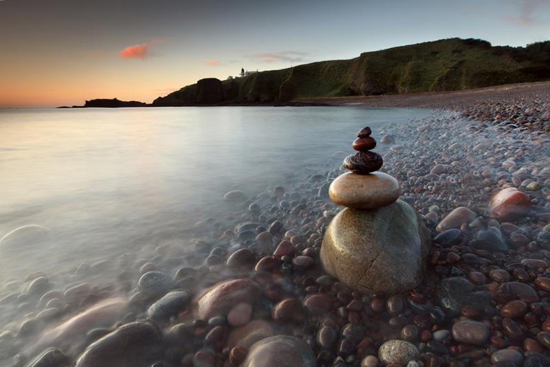 Todd Head Aberdeenshire